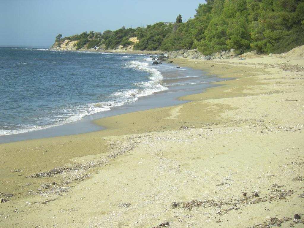 Stone House Andromeda Βίλα Ψακούδια Εξωτερικό φωτογραφία